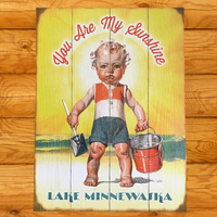 You Are My Sunshine - Lake Minnewaska Sign
