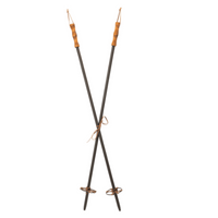 Ski Poles
