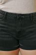 Plus High Rise Frayed Hem Distressed Denim Shorts